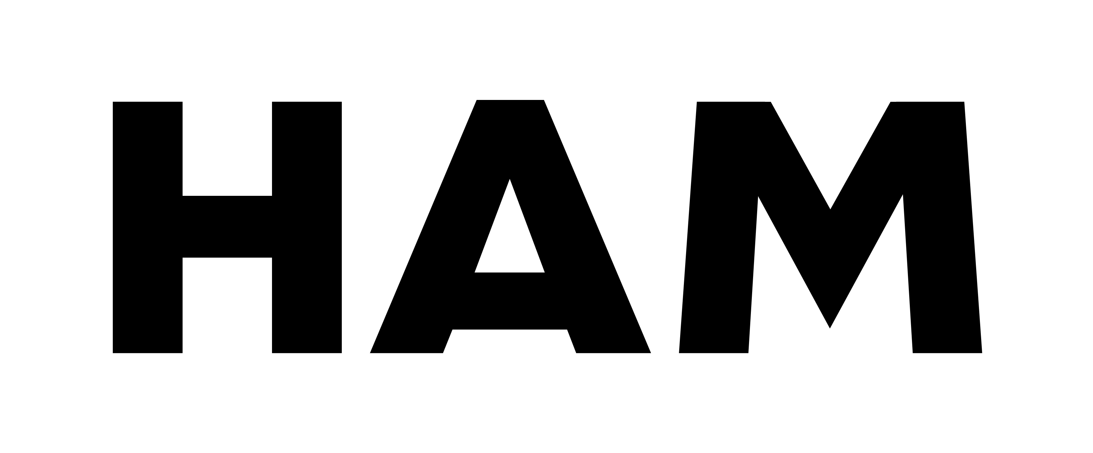 HAM logo